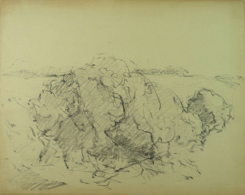 1930-1940 ca. - Alberi